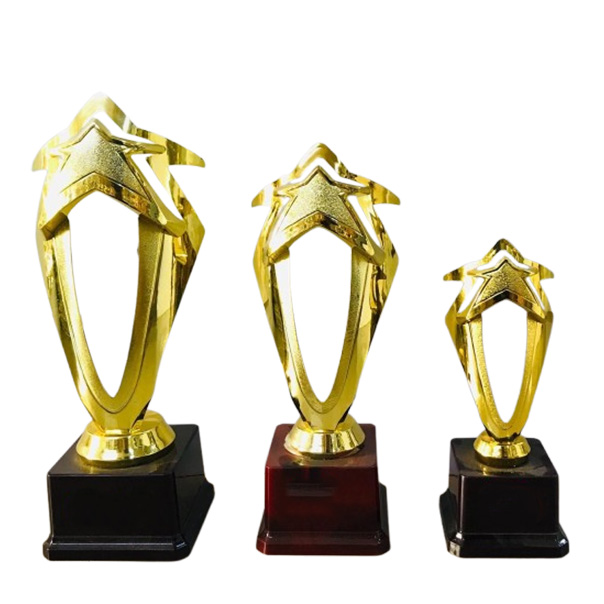 Fiber Star trophy – GSG220