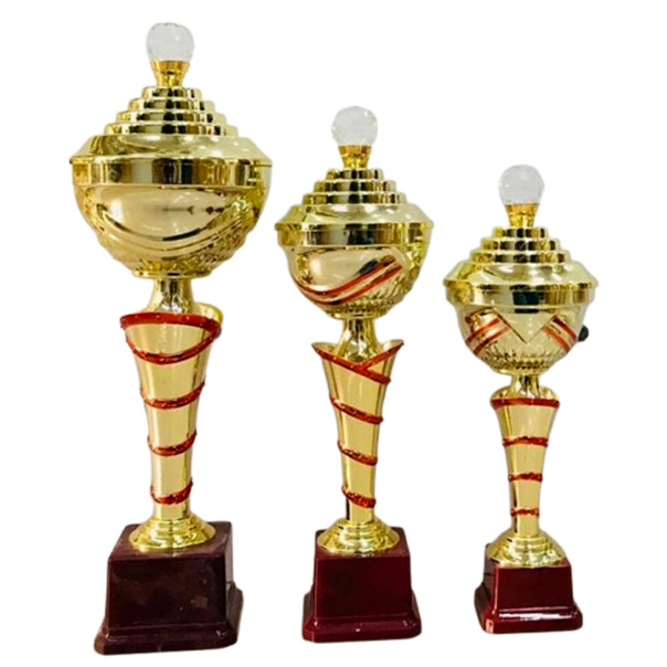 Fiber Gold Trophy – GSG305