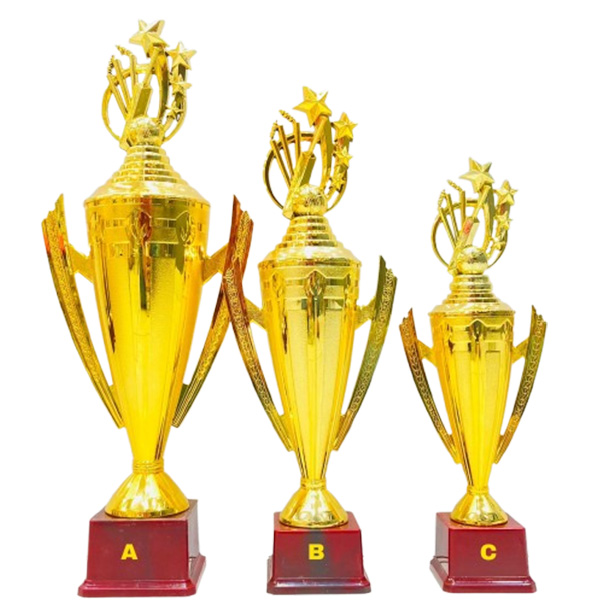 Cricket Man of the Match Trophy