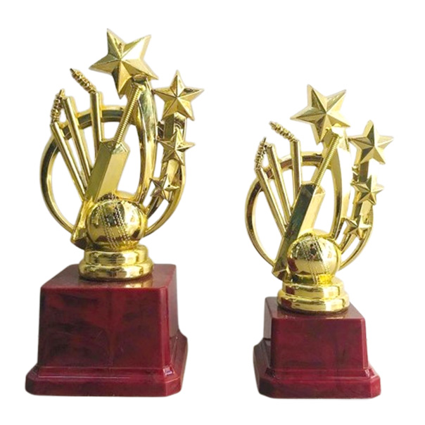 Cricket trophy – GSG343