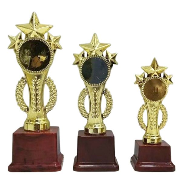 Fiber Trophy – GS350