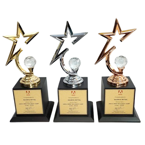 New Star metal trophy