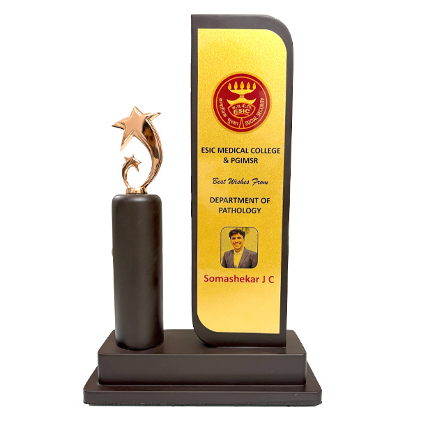 Dual Star Trophy – Corporate Award
