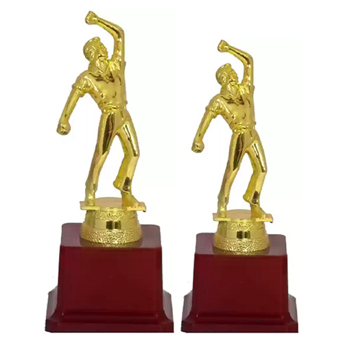 Cricket – Best Bowler Trophy