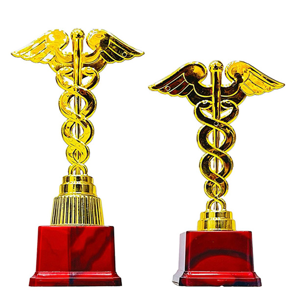 Medical – Doctor’s Trophy