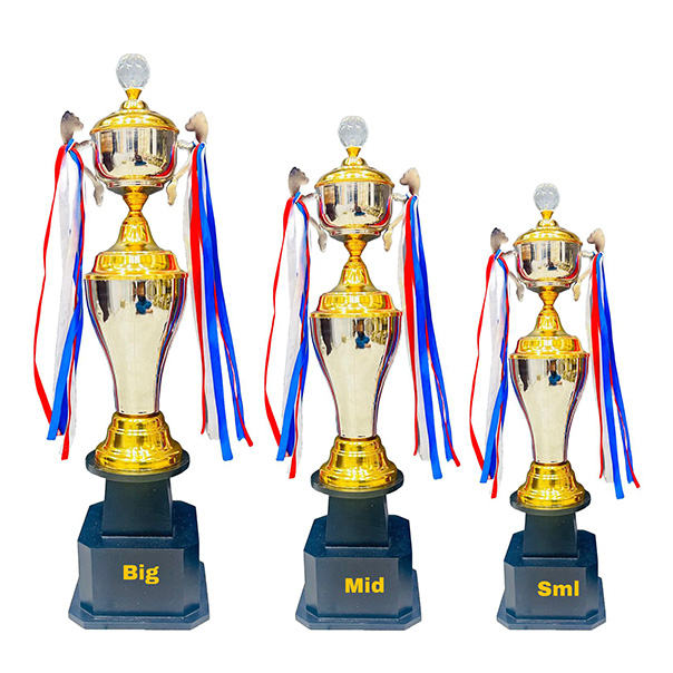 Metal Sports Cup Trophy 2008